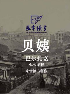 贝姨
